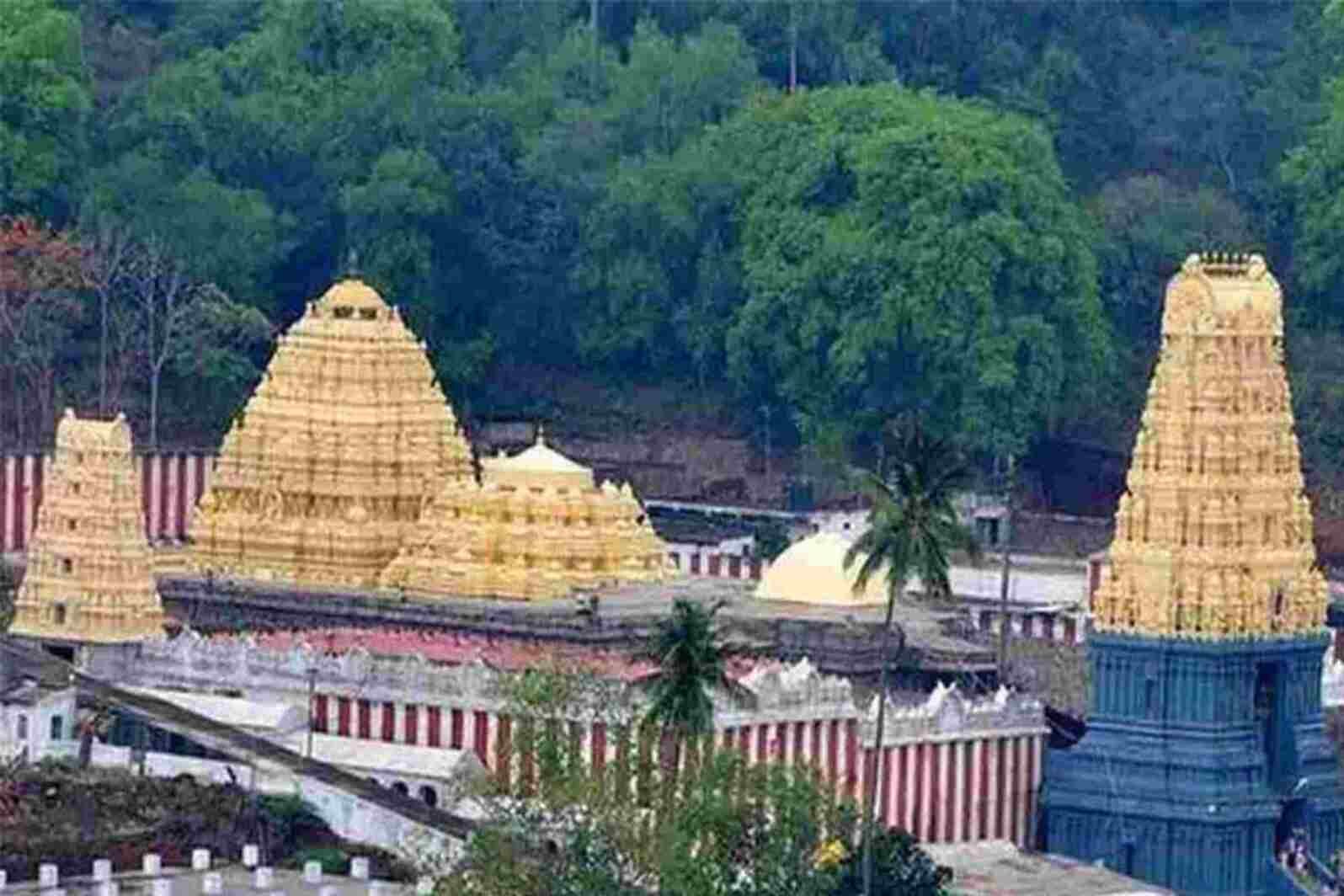 Simhachalam Temple Timings